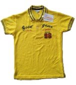 Boys Stylish Polo